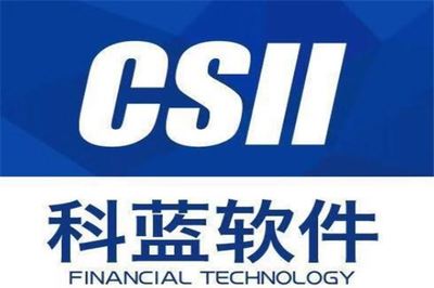 電子政務龍頭股排行榜 頂點軟件領跑，雄帝科技位列第八